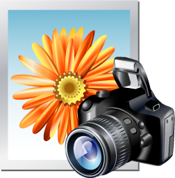 Remote Capture SLR